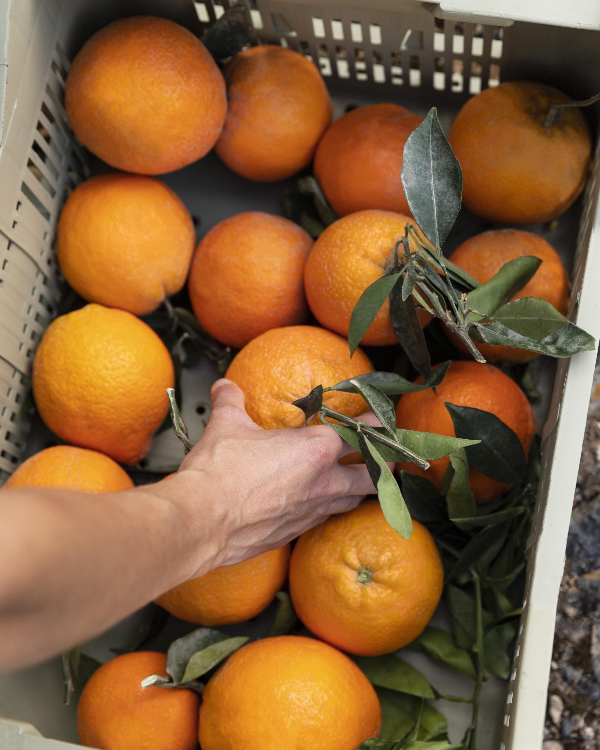 mujer-tomando-naranja-caja